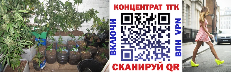 купить  цена  Старый Оскол  MEGA онион  ТГК концентрат 